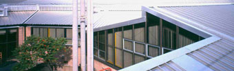 Roofing and Cladding Services Picture